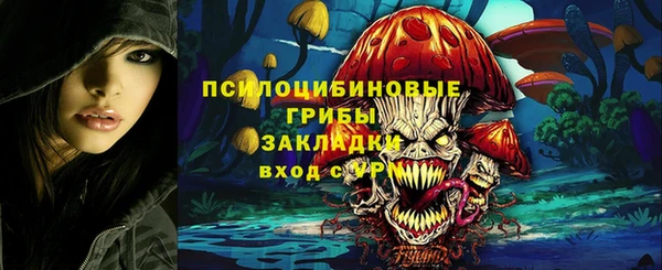 метадон Козельск