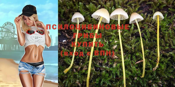 МДМА Киреевск