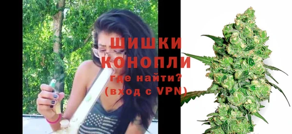 хмурый Козловка
