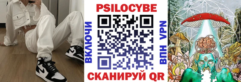 Псилоцибиновые грибы GOLDEN TEACHER  Купить где  Ардатов 