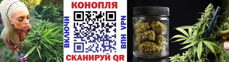 Купить  Ардатов  Бошки марихуана Bruce Banner 